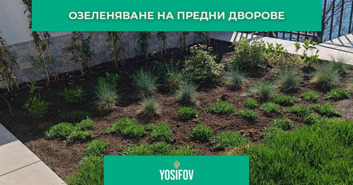 Озеленяване на малки предни дворове