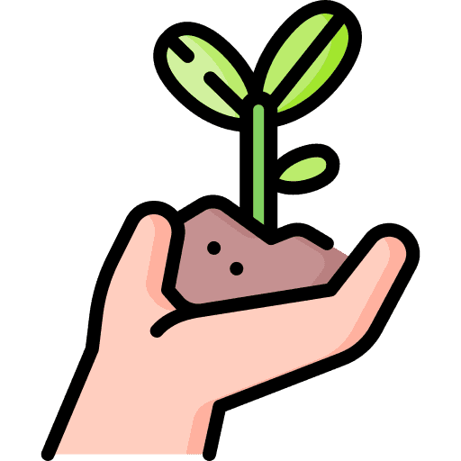 Собствено производство на растителност